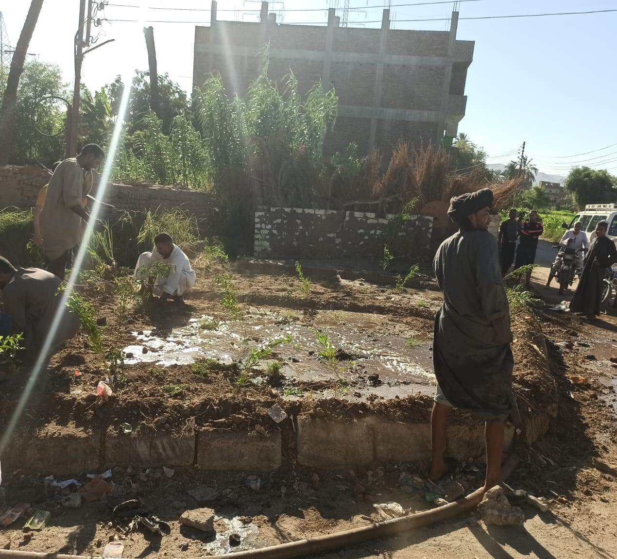 عمليات التجميل والتشجير بالمنطقة