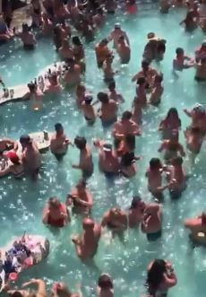 حفلة فى حمام سباحة بأمريكا (1)