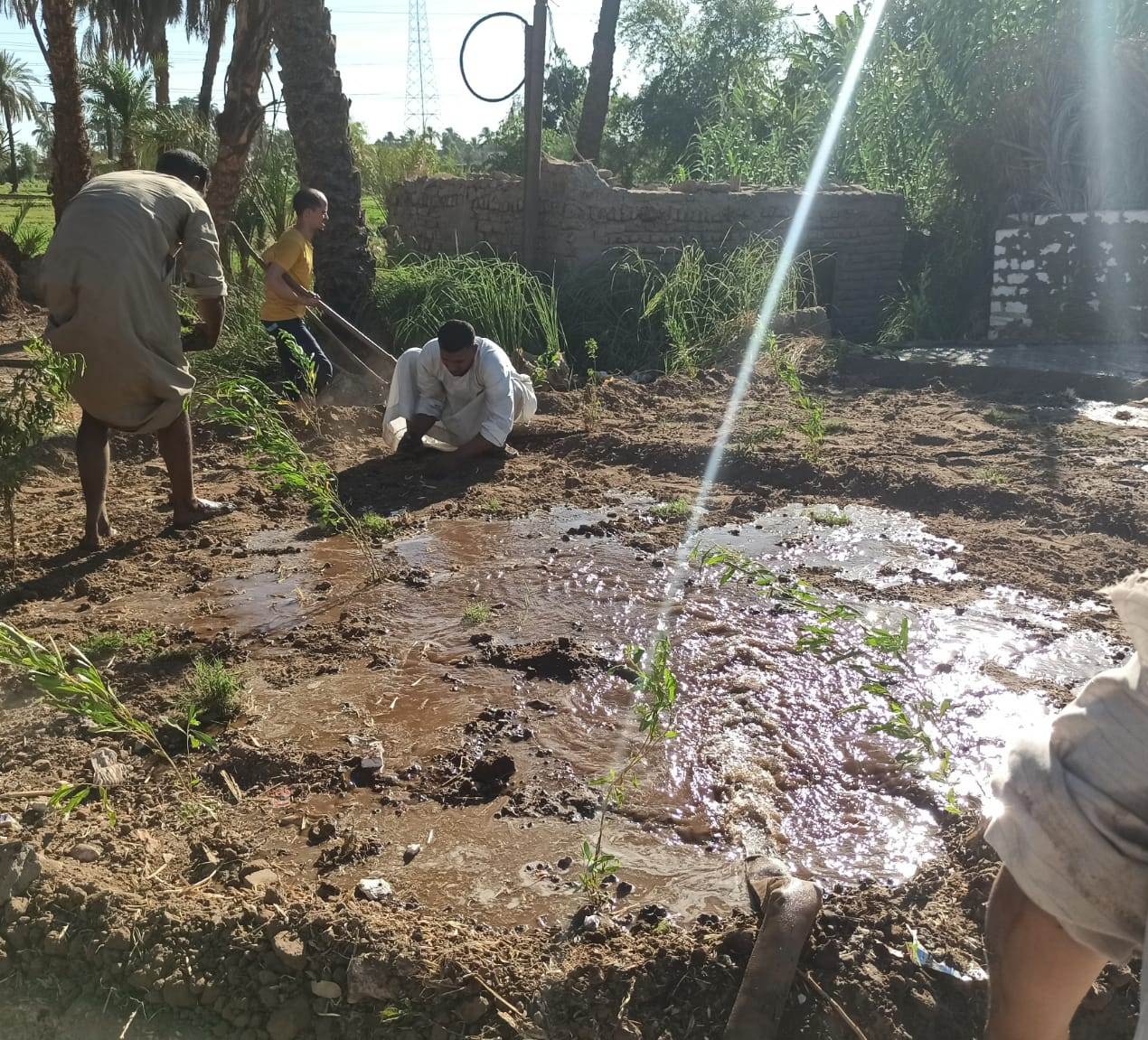 تزيين منطقة نجع عبادى بالكرنك