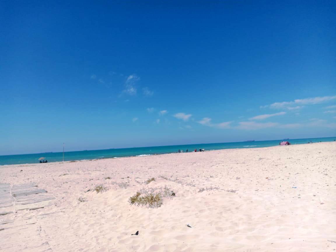 الحياة فى زمن كورونا..شواطىء الساحل الشمالى خالية من المواطنين (12)