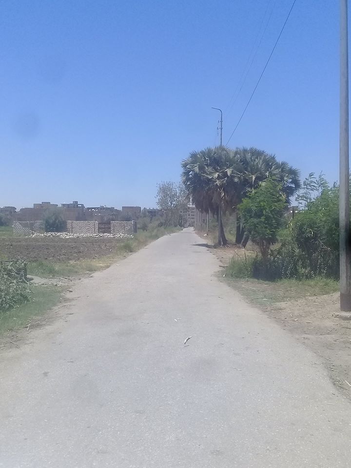 المواطنين فى  أيام عيد الفطر   (16)