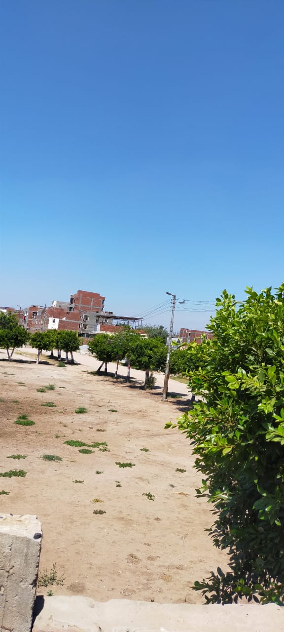 حدائق ومتنزهات البحيرة (2)