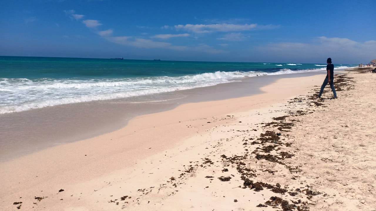 الحياة فى زمن كورونا..شواطىء الساحل الشمالى خالية من المواطنين (5)