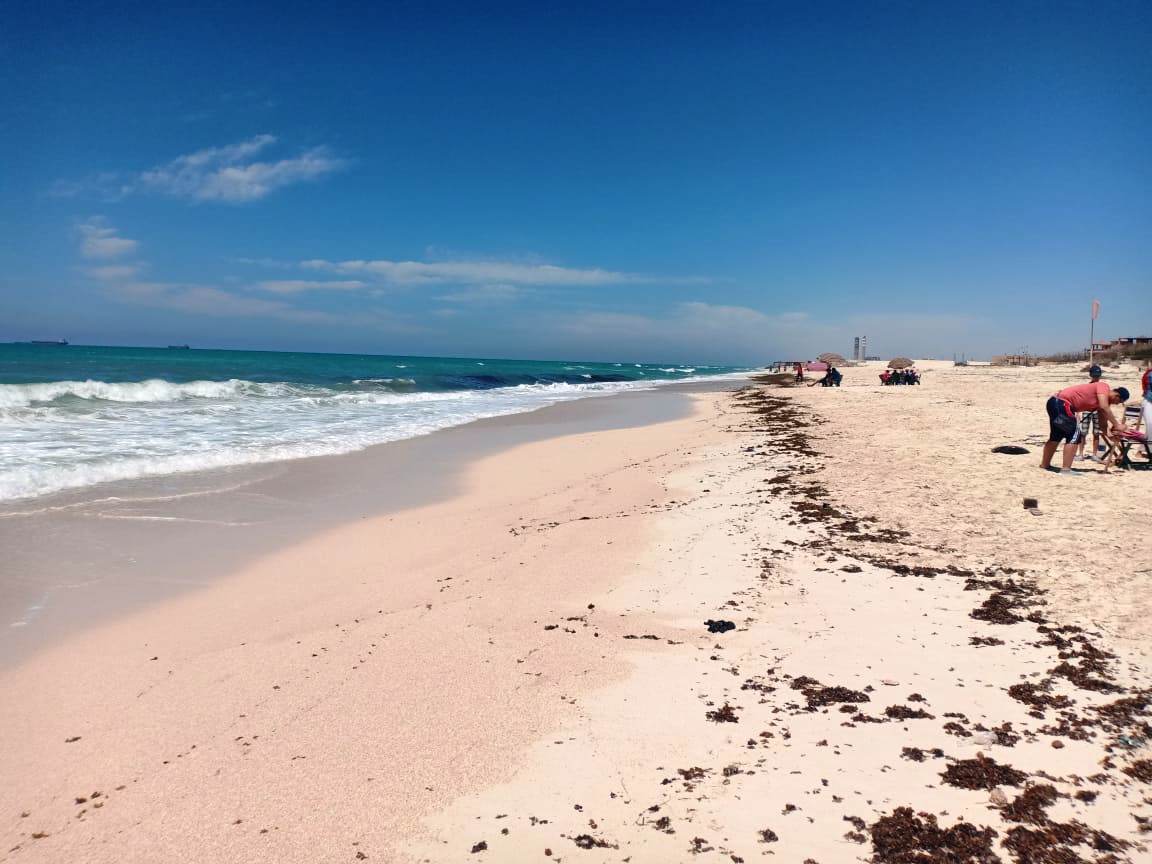 الحياة فى زمن كورونا..شواطىء الساحل الشمالى خالية من المواطنين (13)