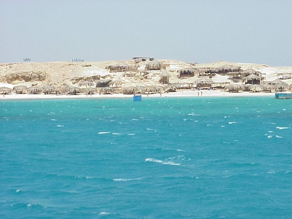 جزيرة الجفتون فى البحر الاحمر (5)
