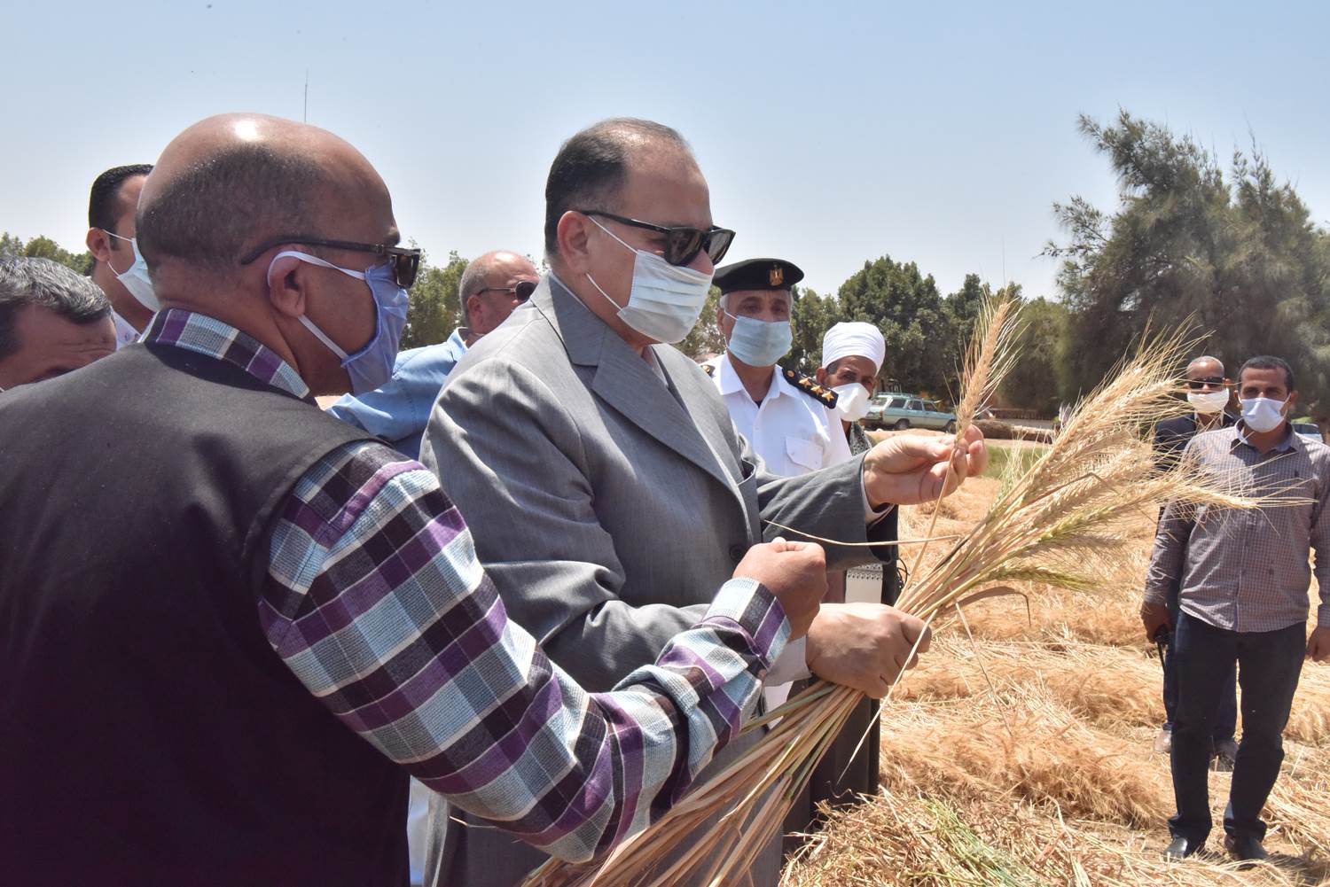 محافظ أسيوط يتفقد بدء حصاد محصول القمح بمركز أبنوب  (4)