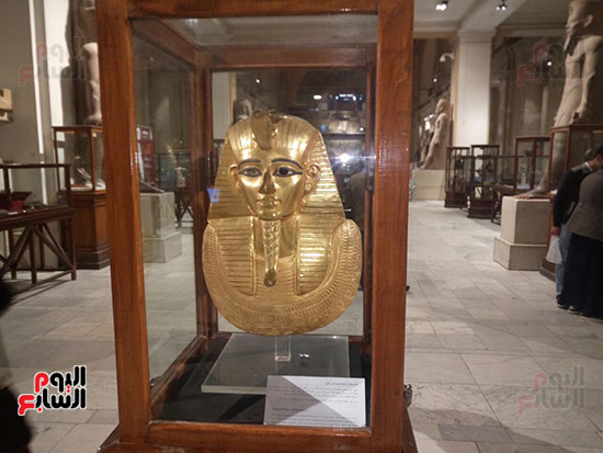 كنوز تانيس (1)