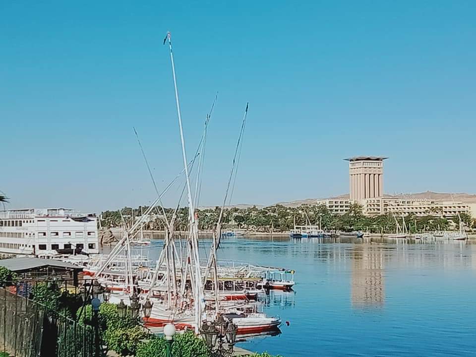 التصحيحكورنيش وشوارع أسوان  (2)