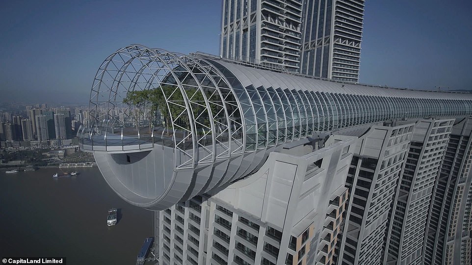 صور الممر الزجاجى