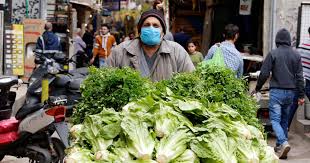 الخضار فى لبنان الخضار فى لبنان