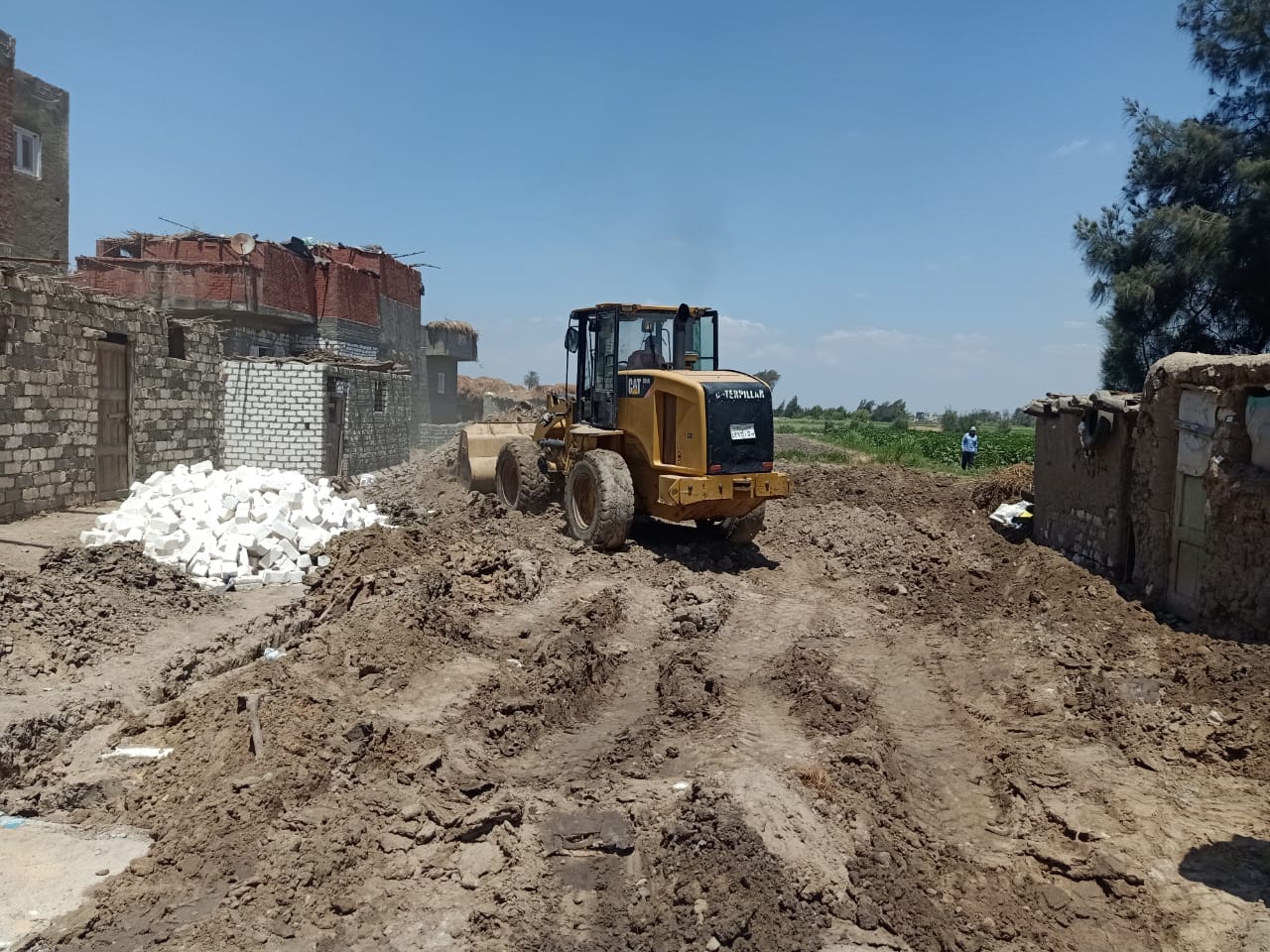 ازالة التعديات على الاراضى الزراعية بالبحيرة (4)