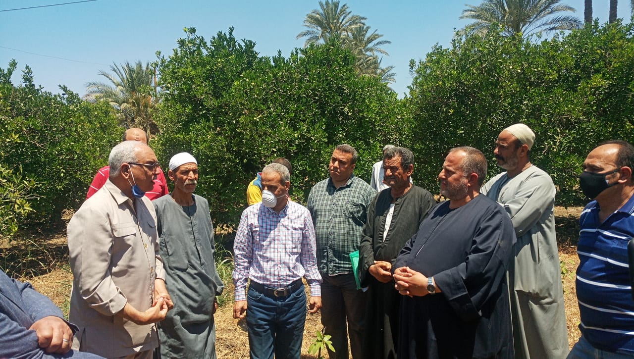 نائب وزير الزراعة خلال جولته بالحدائق بقرية شبرا النملة (5)