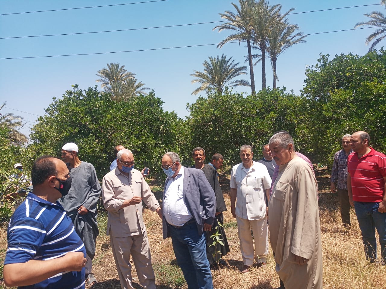 نائب وزير الزراعة خلال جولته بالحدائق بقرية شبرا النملة (4)