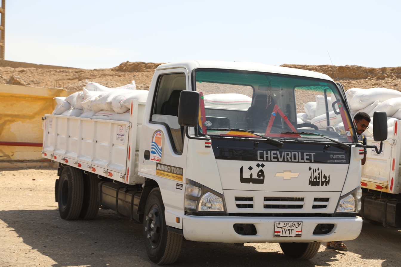 توريد القمح للشون والصوامع فى قنا (2)