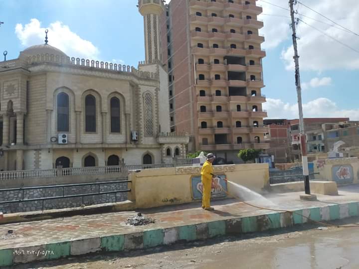 تطهير الشوارع والمنازل (2)