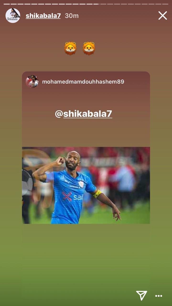 ثورة حب زملكاوية لدعم شيكابالا بعد موجة السخرية الأخيرة (3)