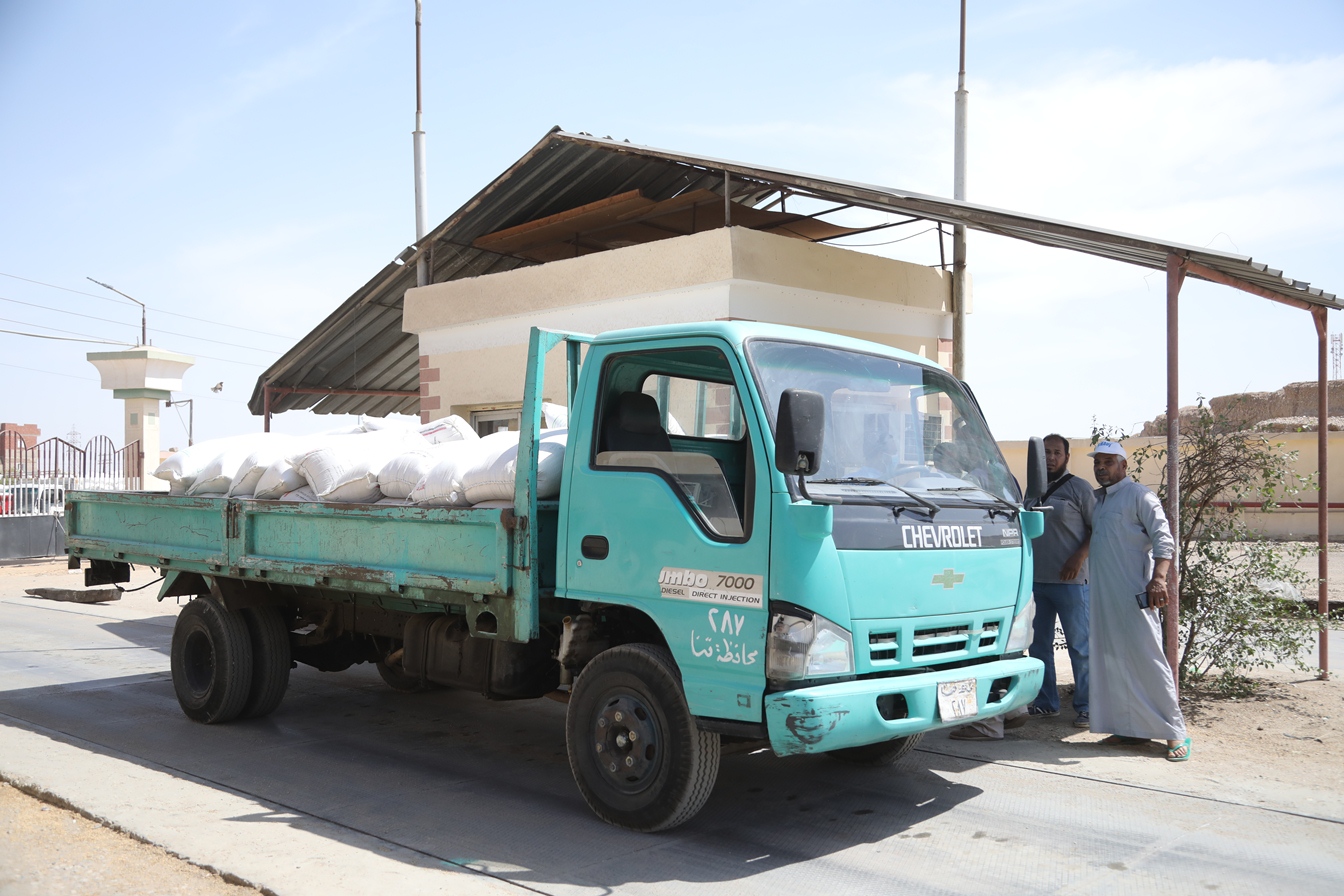 توريد القمح للشون والصوامع فى قنا (6)