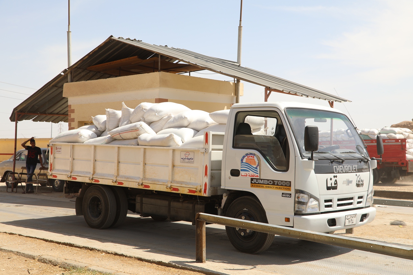 توريد القمح للشون والصوامع فى قنا (8)