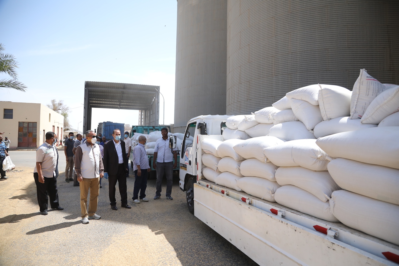 توريد القمح للشون والصوامع فى قنا (14)