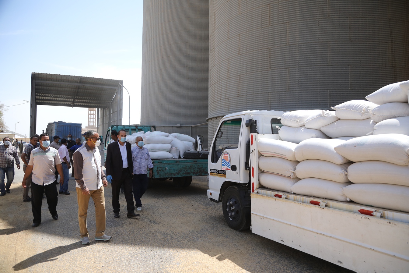 توريد القمح للشون والصوامع فى قنا (12)