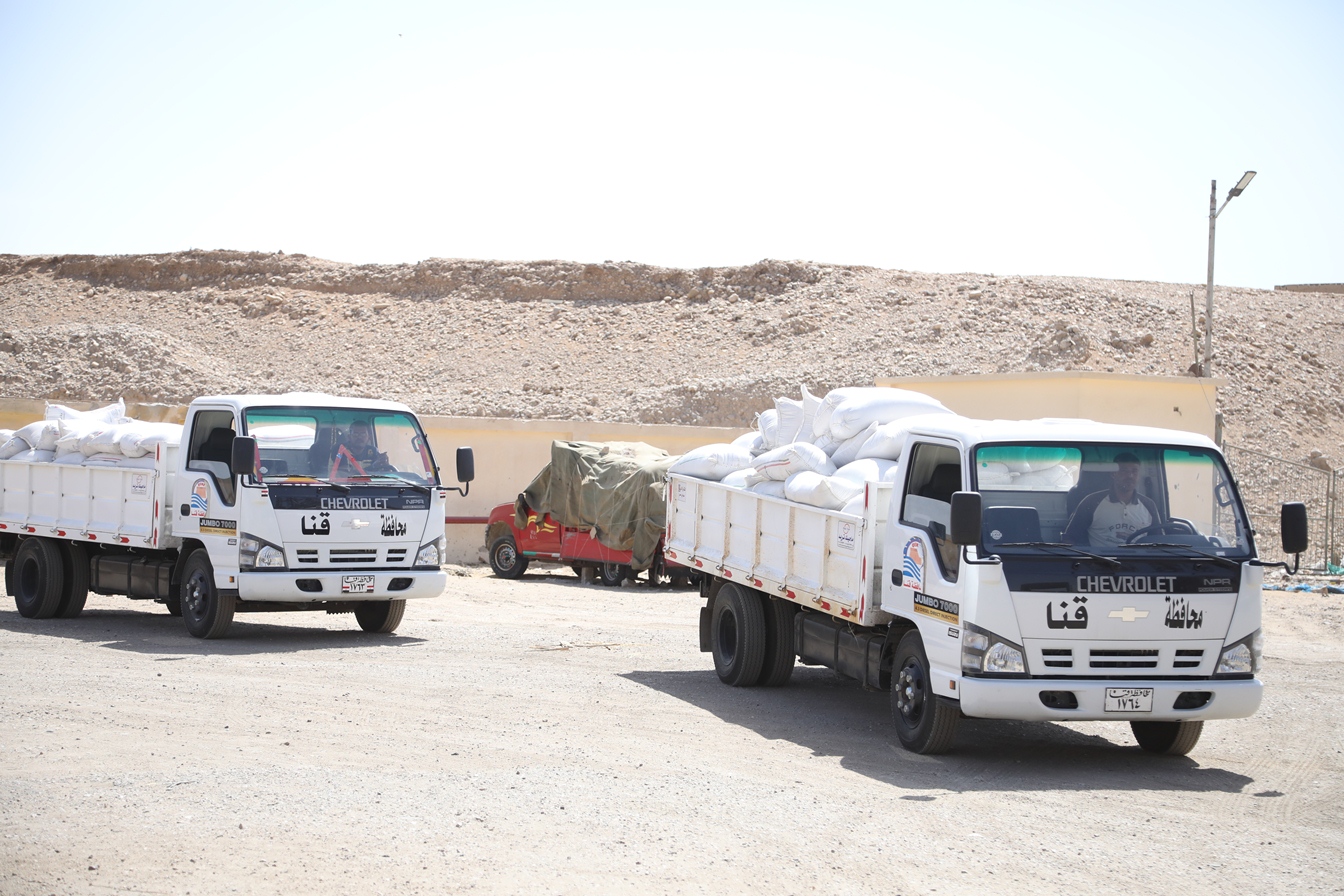 توريد القمح للشون والصوامع فى قنا (7)