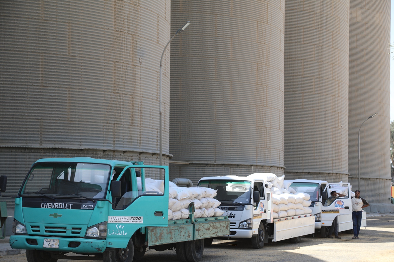 توريد القمح للشون والصوامع فى قنا (29)
