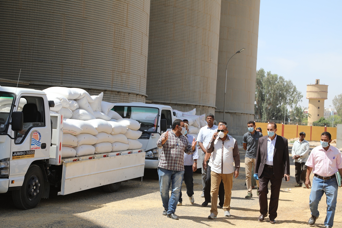 توريد القمح للشون والصوامع فى قنا (26)