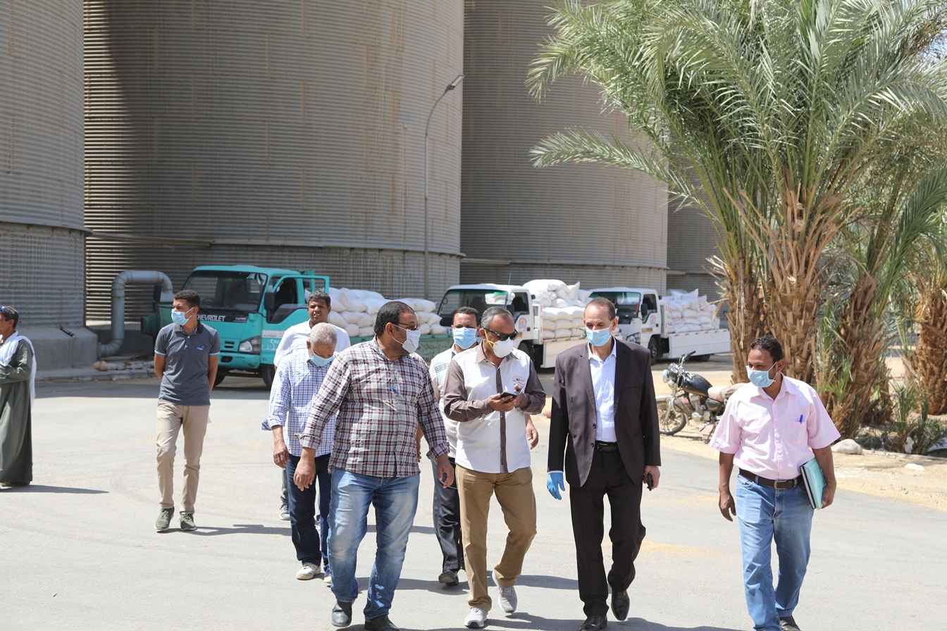 توريد القمح للشون والصوامع فى قنا (27)