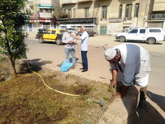 زراعة-شارع-البحر-بالمحلة-بالورود-والاشجار-ضمن-حملات-التجميل-(2)