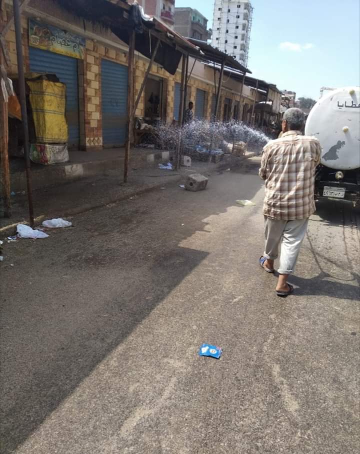 تطهير الشوارع والمنازل (3)