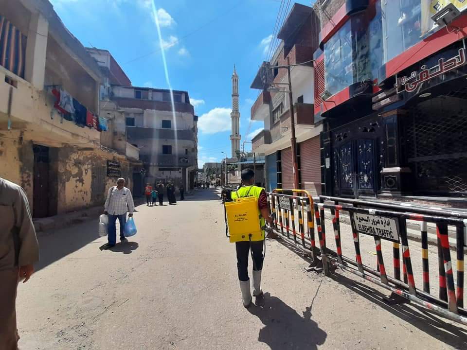 رش وتطهير الشوارع والمنازل بالبحيرة (3)