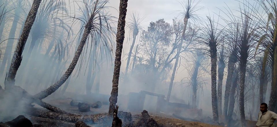 الحريق أدى لتفحم حوالى 300 نخلة بمدينة إسنا
