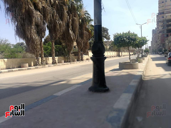 تطوير طريق نادى الشرطة بالمحلة ورفع تراكمات القمامة (7)