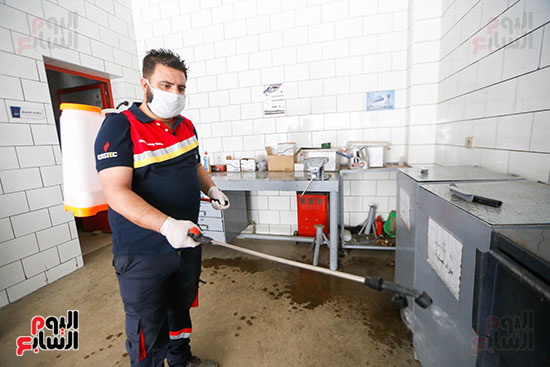 ارتداء الكمامات (24)