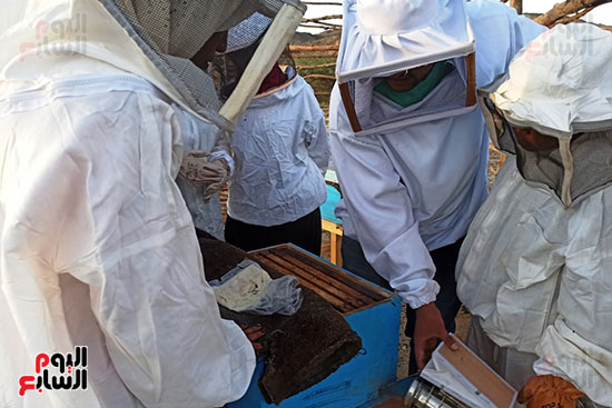 قرية أبو غصون تجنى ثمار مشروع عسل النحل الجبلى (7)