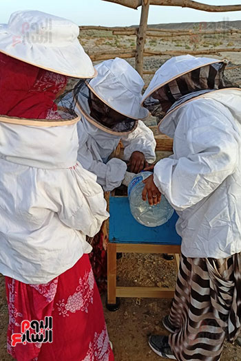 قرية أبو غصون تجنى ثمار مشروع عسل النحل الجبلى (2)