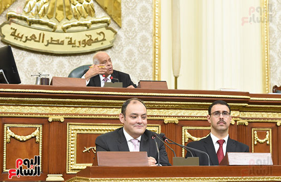 الجلسة العامة لمجلس النواب (11)