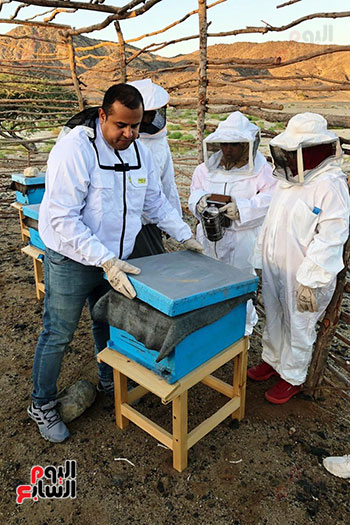 قرية أبو غصون تجنى ثمار مشروع عسل النحل الجبلى (12)