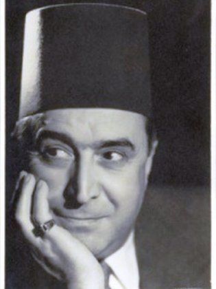 سليمان نجيب (3)