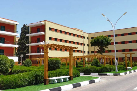 تطوير المدن الجامعية بجامعة عين شمس  (14)