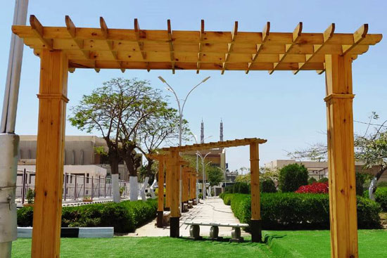 تطوير المدن الجامعية بجامعة عين شمس  (16)