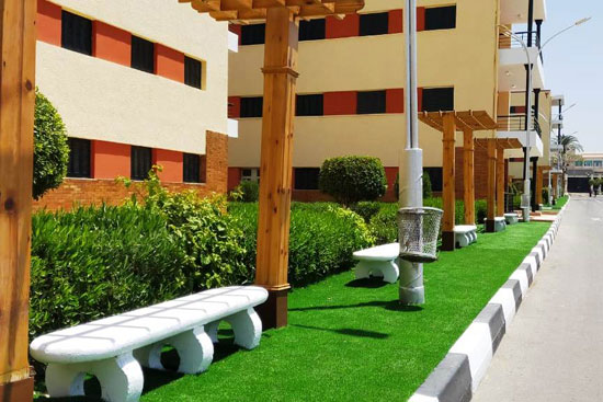 تطوير المدن الجامعية بجامعة عين شمس  (7)