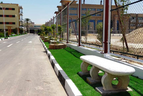 تطوير المدن الجامعية بجامعة عين شمس  (12)