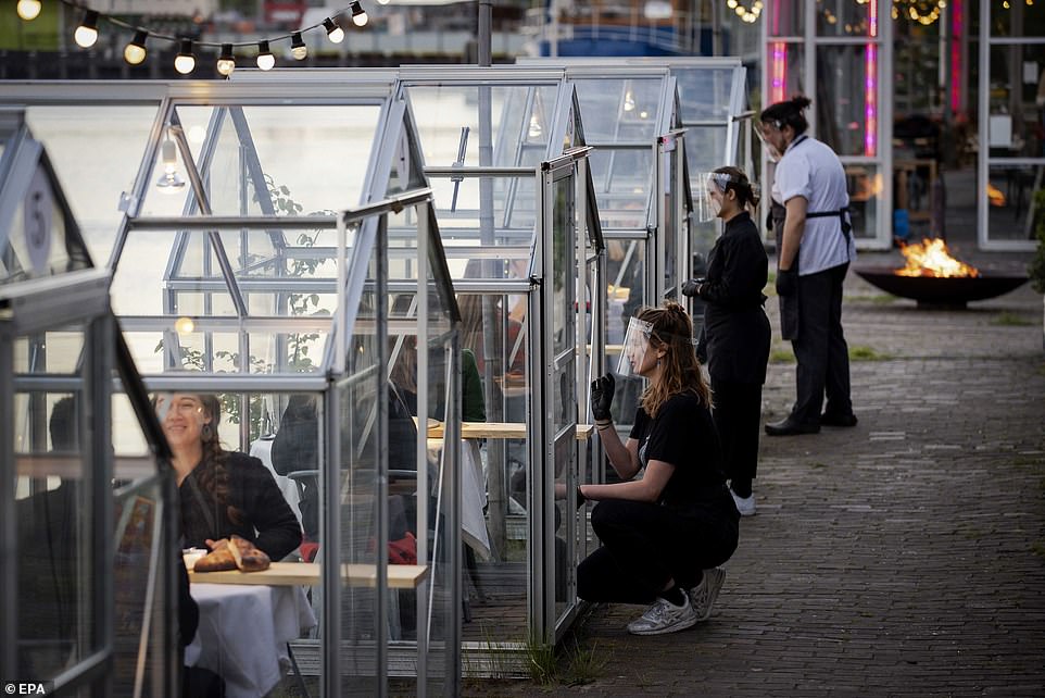 مطعم هولندى يصمم غرفا زجاجية لمنع تفشى كورونا (2)