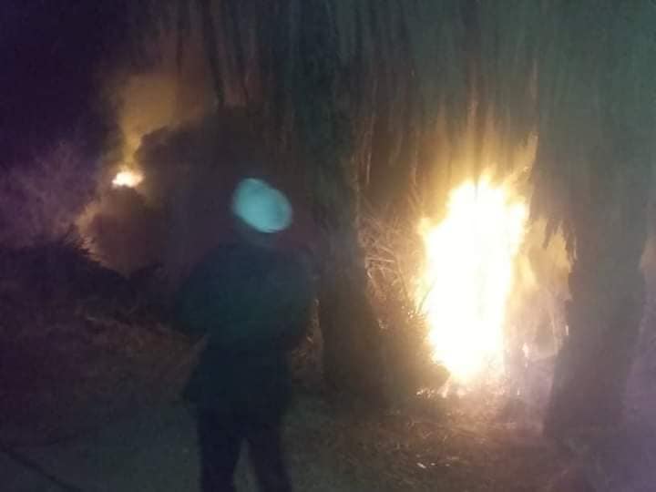 السيطرة على حريق فى كرم نخيل غرب كوبرى القرايا جنوب الأقصر السيطرة على حريق فى كرم نخيل غرب كوبرى القرايا جنوب الأقصر
