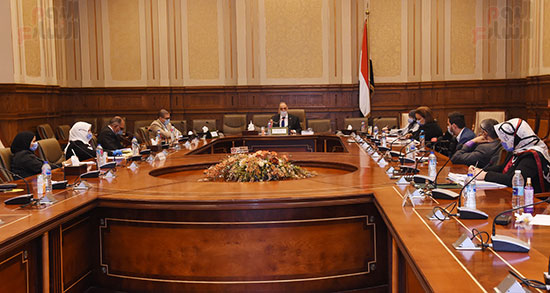 لجنة التضامن الاجتماعي والأسرة (8)