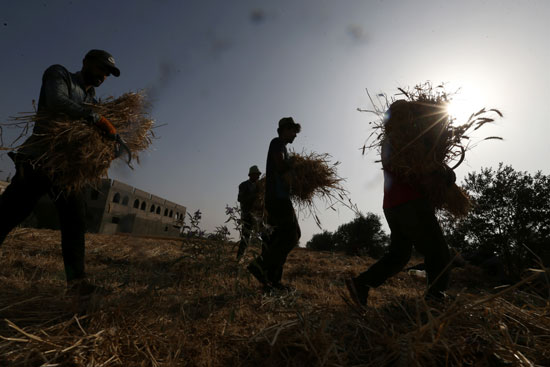 قطاع غزة يعانى من تفاقم البطالة