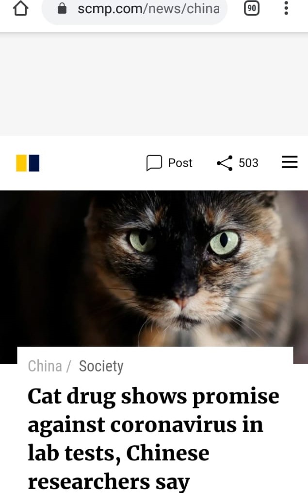 عقار للقطط عقار للقطط