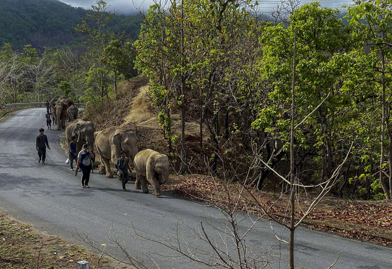 121-175843-elephant-thai-villages-3