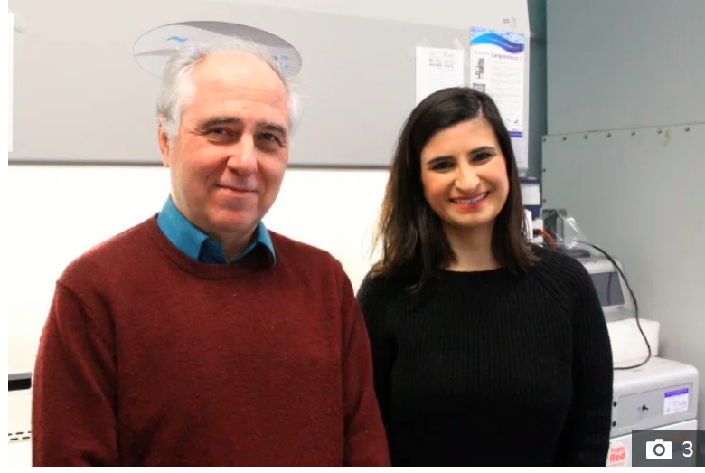 الفريق الطبى البريطانى الفريق الطبى البريطانى